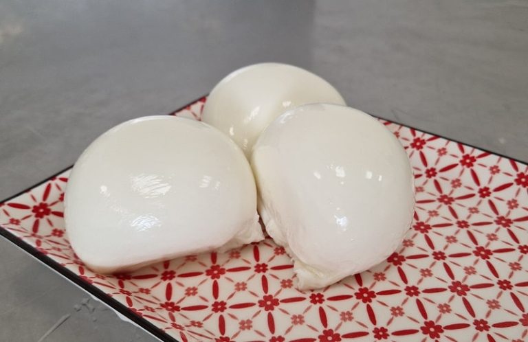 Vendita mozzarella artigianale a Verona